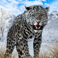 野生雪豹模拟器Snow Leopard下载安装免费版