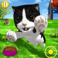 模拟宠物店养成安卓版app免费下载