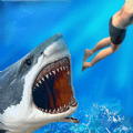 大白鲨真实模拟免费手游最新版本