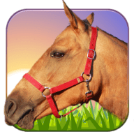 Ride Horse 3D最新手游2022