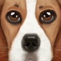 狗狗模拟器2UltDogSim手机游戏最新款