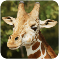 长颈鹿模拟The Giraffe游戏安卓下载免费