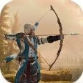 弓箭手刺客射击Archer Assassin下载安装免费版